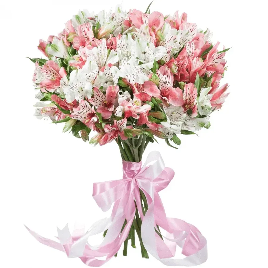 Альстромерии нежный микс