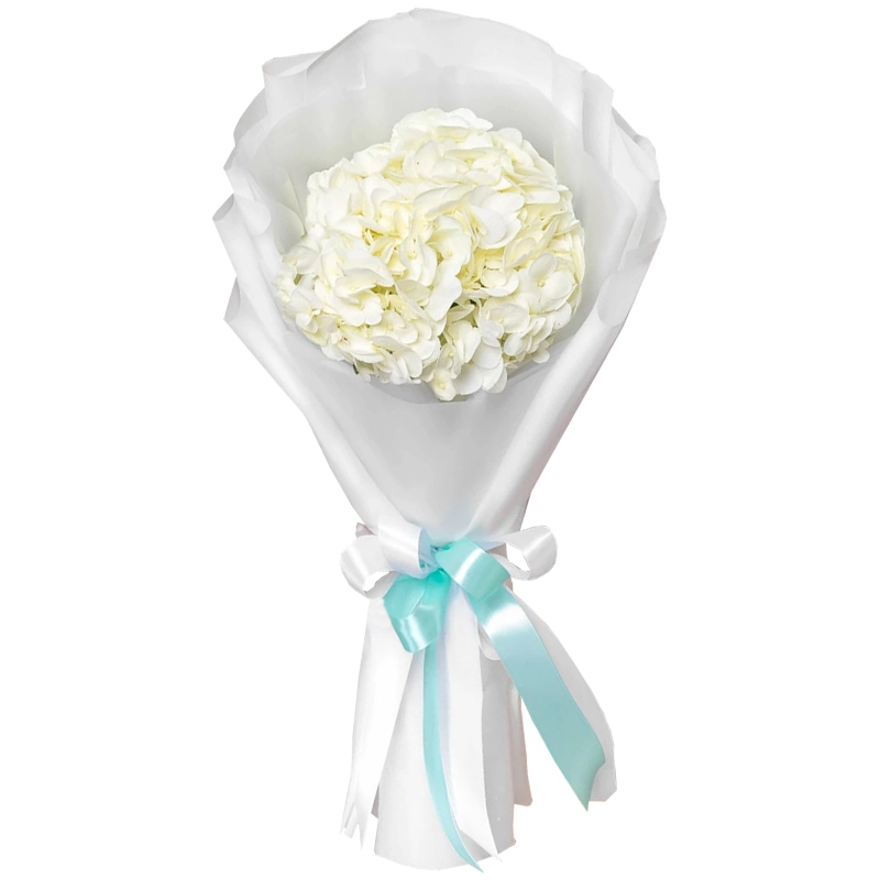 Букет из 1 белой гортензии