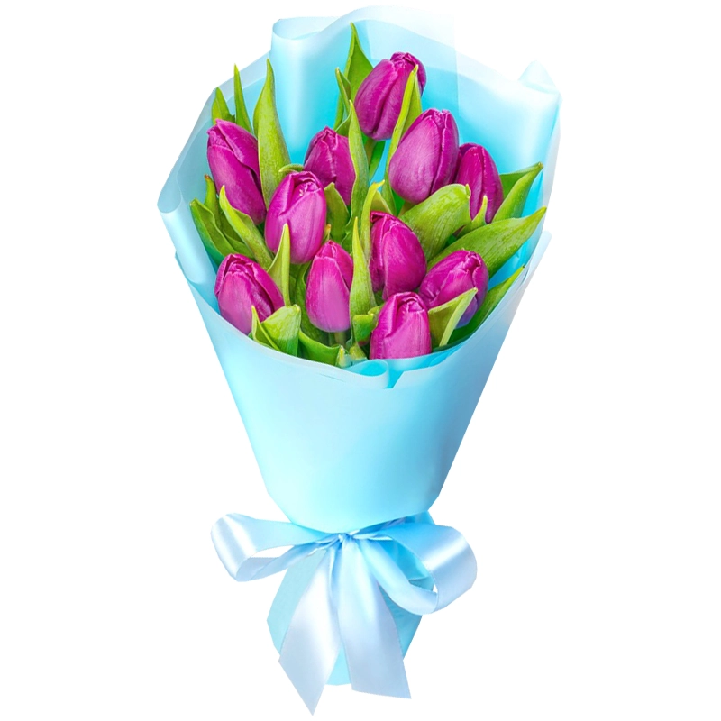 Букет из 11 темно розовых тюльпанов
